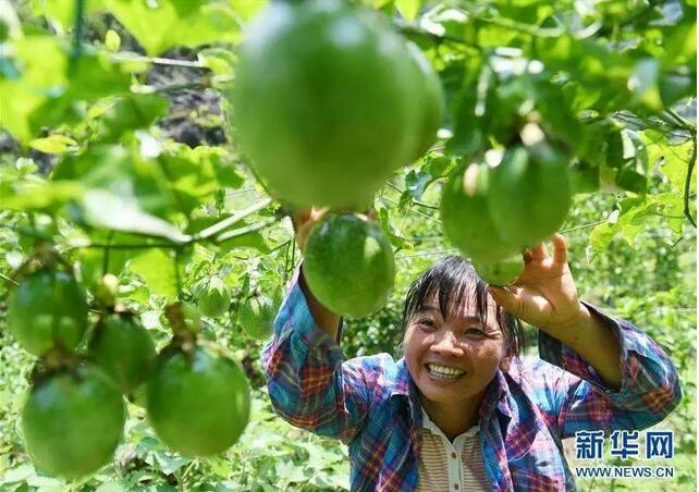 人社部、國務(wù)院扶貧辦聯(lián)合開展深度貧困地區(qū)技能扶貧行動