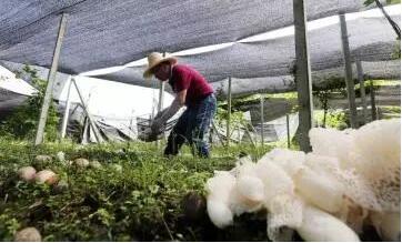 人社部、國務(wù)院扶貧辦聯(lián)合開展深度貧困地區(qū)技能扶貧行動
