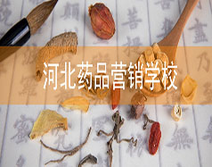 河北藥品營(yíng)銷學(xué)校
