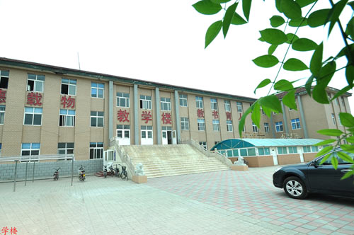 滄州國興職業(yè)技術(shù)學(xué)校哪些專業(yè)比較不錯？
