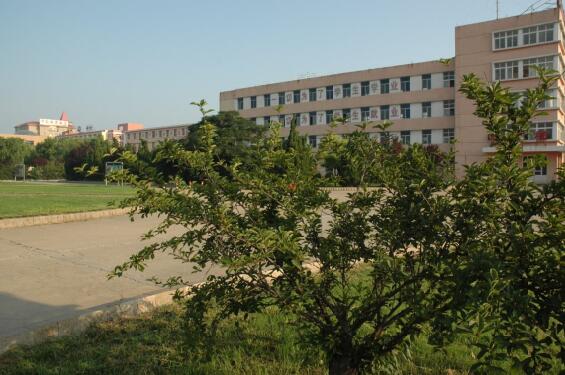 山東龍口礦業(yè)集團高級技工學校有助學金政策嗎？