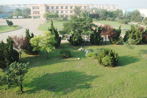 山東龍口礦業(yè)集團(tuán)高級(jí)技工學(xué)校老師們教學(xué)怎么樣？升學(xué)率高嗎？