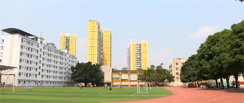 石家莊有學(xué)校開設(shè)大數(shù)據(jù)相關(guān)專業(yè)嗎？