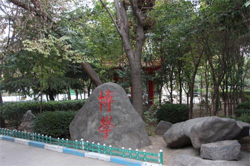  山東人民專修學(xué)院怎樣安排學(xué)生就業(yè)？