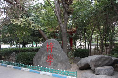 山東人民專修學院值得報名嗎？