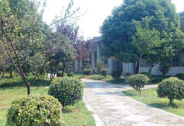 山東圣翰財(cái)貿(mào)職業(yè)學(xué)院都有哪些專業(yè)可以選擇？