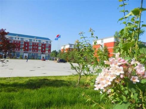 學(xué)習(xí)護(hù)理專業(yè)要掌握哪些內(nèi)容？   