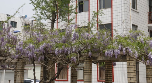 山東學(xué)鐵路就選擇山東煤炭技師學(xué)院！