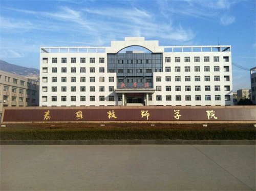 泰安技師學(xué)院好不好？