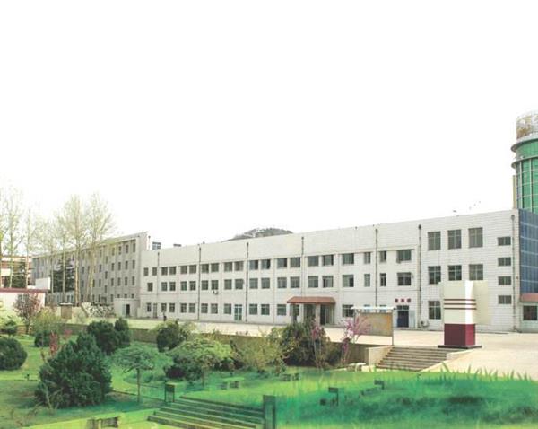 山東哪所學校能報考春季高考？