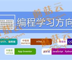 孩子為什么要盡早學(xué)習(xí)少兒編程。濟(jì)寧蘑菇云少兒編程