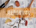 河北藥品營(yíng)銷學(xué)校