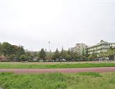 校園風光