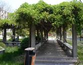 校園風(fēng)采