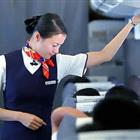 航空服務(wù)（票務(wù)、安檢方向）、航空乘務(wù)定向委培