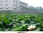 鄭州澍青醫(yī)學(xué)高等?？茖W(xué)校